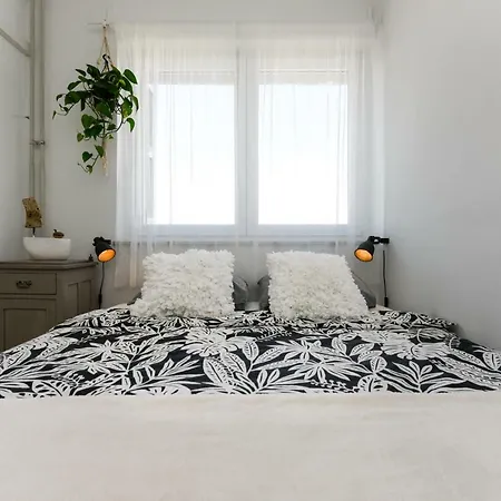 Mareta Zadar